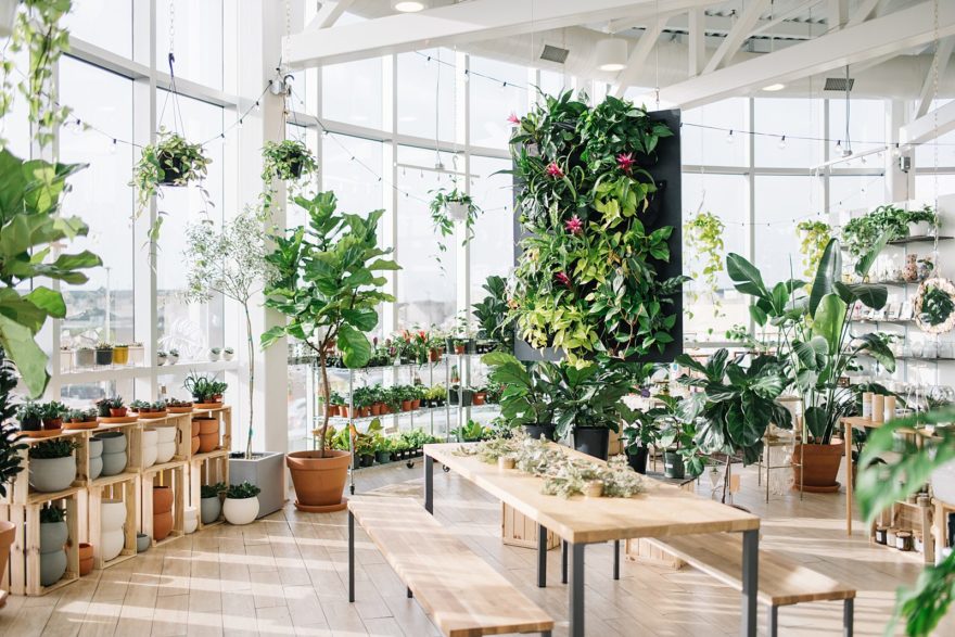 plant shop loft interior display Botaniful Edmonton