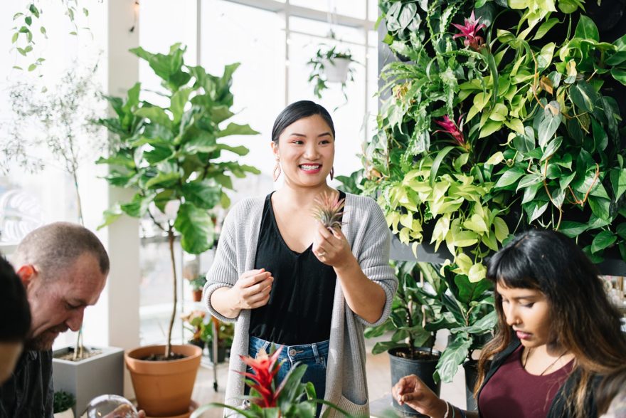 Plant Shop Photoshoot | Brand Photography in Edmonton