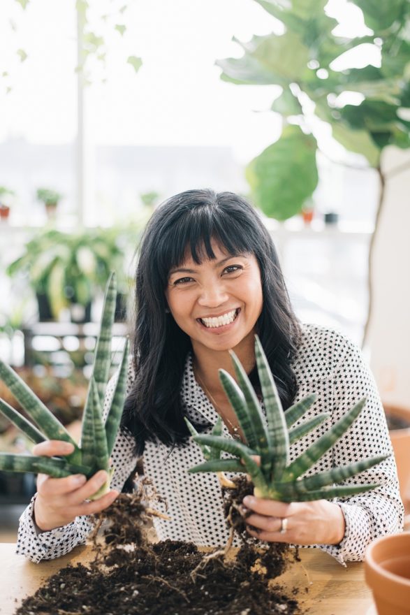 botaniful plant shop photoshoot branding Tracey Jazmin