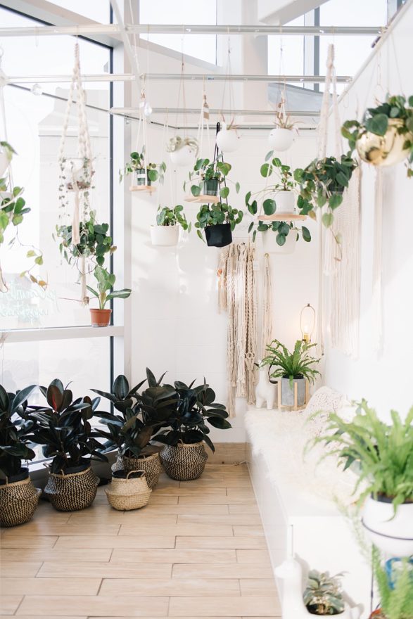 plant shop interior display inspiration Botaniful