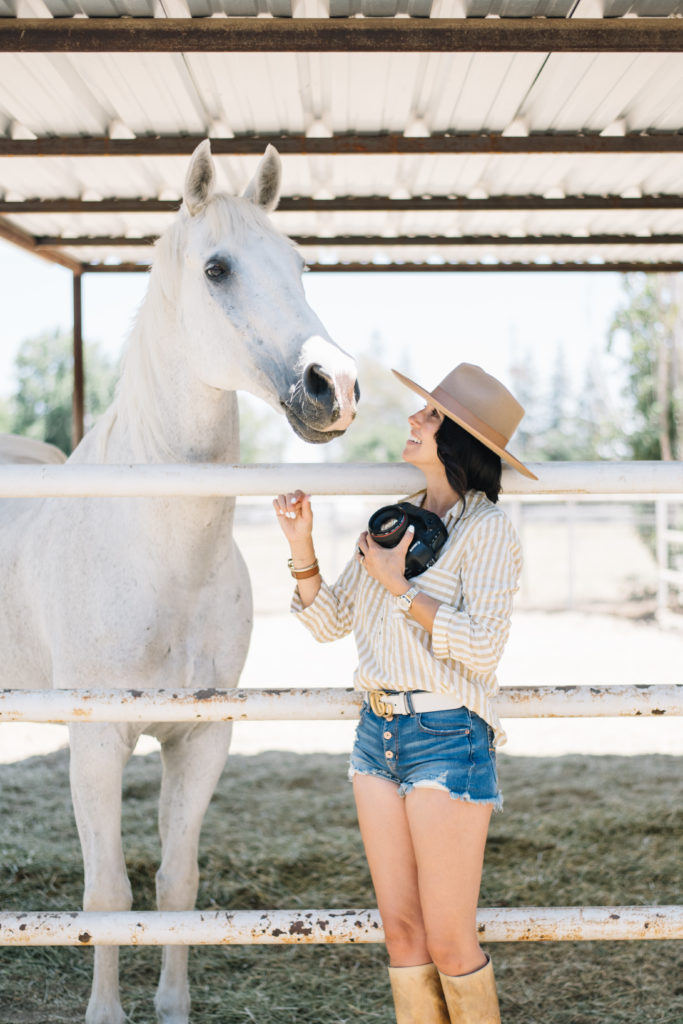 A woman taking photos of a white horse to define her personal brand